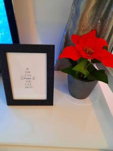 a picture frame next to a red flower in a vase at Vue panoramique Sur la Seine - 5' Tram - Direct Paris - Parking - Netflix in Bezons