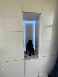 un ours en peluche noir assis sur une étagère dans un mur dans l'établissement Trésor d’Anthéor, à Saint-Raphaël