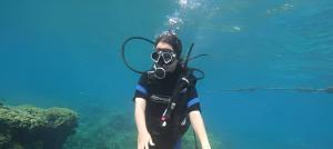a person in a diver suit in the water at Thành Trinh hotel đảo Phú Quý in Cu Lao Thu
