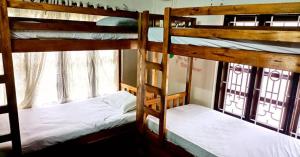 two bunk beds in a room with a window at Zebra Hostels in Varkala