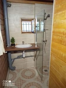 La salle de bains est pourvue d'un lavabo et d'une douche. dans l'établissement La Laouze - Small wooden house Eco-Low-tech, à Rogues