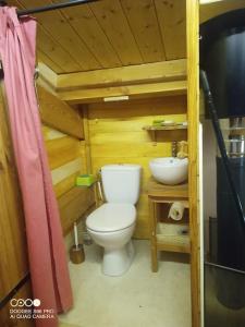 La petite salle de bains est pourvue de toilettes et d'un lavabo. dans l'établissement La Laouze - Small wooden house Eco-Low-tech, à Rogues