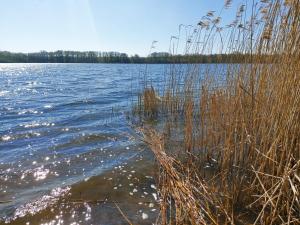 a large body of water with some tall grass at Alte Schule Mankmuß in Karstädt