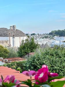 a group of pink flowers sitting on top of a roof at La Casetta in Alberobello