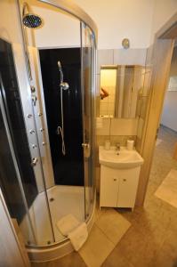 een badkamer met een douche en een wastafel bij Mieszkania Sowiogórskie u podnóża Gór Sowich in Pieszyce
