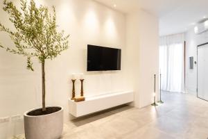 sala de estar con TV y maceta en Nest House & Relax, en Civitanova Marche