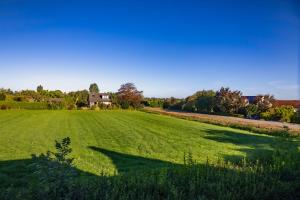 ein großes Feld mit grünem Gras und einem Haus im Hintergrund in der Unterkunft Appartement de 3 haasjes in landelijke omgeving. in Wijdenes