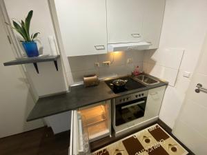 a small kitchen with a stove and a sink at Ferienwohnung Pension Sofia 2 in Meißen +4 photos