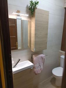 a bathroom with a sink and a toilet and a mirror at León Antiguo Palomera in León