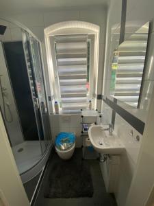 a bathroom with a sink and a shower and a toilet at Ferienwohnung Pension Sofia 2 in Meißen