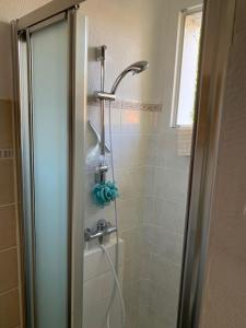a shower with a glass door in a bathroom at GÎTE VIGNERAIE in Sainte-Gemme-Moronval