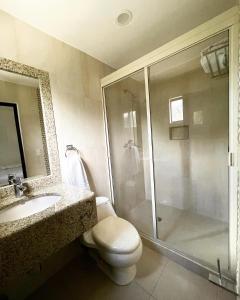 a bathroom with a shower and a toilet and a sink at Galería Concordia in Antiguo Tamuín