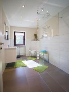 a bathroom with a toilet and a sink and a mirror at Ferienhaus an der Austwies in Nonnweiler