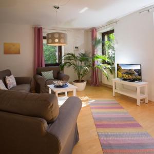 TV a/nebo společenská místnost v ubytování Ferienhaus an der Austwies