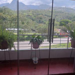 une plante dans un pot assise sur un balcon avec vue dans l'établissement HOSPEDAJE MILAGRITOS, à Chachapoyas