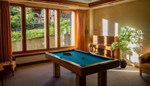 Una mesa de billar en Hotel Jungfraublick
