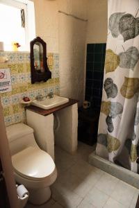 ein Bad mit einem WC, einem Waschbecken und einer Dusche in der Unterkunft Posada el portal de la Loma in Pesca