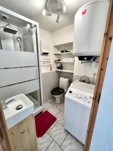 uma pequena cozinha com um lavatório e uma máquina de lavar roupa em Le Clocher de Leonie by LPNL em Renage