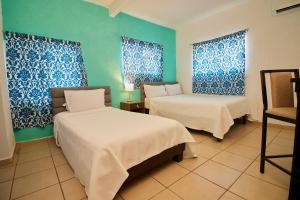 two beds in a room with blue and white walls at Hotel Casa Ceci Inn in San José del Cabo