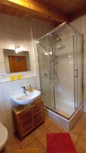 un baño con ducha y lavabo en Ferienwohnung Seebaer, en Ramsberg 13 fotos más