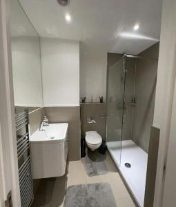 a bathroom with a toilet and a shower and a sink at Comfortable 2 BR Flat TH542 in Basildon