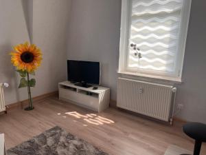 a living room with a tv and a sunflower at FEWO An der Linde Mülsen in Mülsen