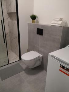 La salle de bains blanche est pourvue d'une douche et de toilettes. dans l'établissement Apartament przy Uniwersytecie Kopcińskiego 15, à Łódź