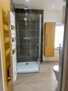 W łazience znajduje się prysznic ze szklanymi drzwiami. w obiekcie Studio climatisé proche gare w mieście Bourg-en-Bresse