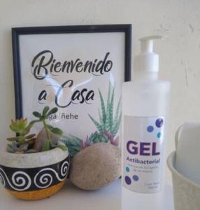 a bathroom counter with a bottle of cleanser and a plant at La Rivera 2 departamentos 