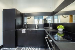 eine schwarze Küche mit einer Spüle und einem Kühlschrank in der Unterkunft Apartament Piotrkowska 31 in Łódź