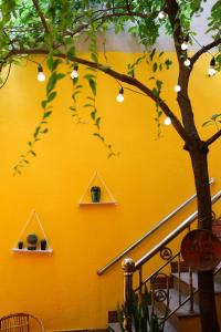 una pared amarilla con dos estanterías y un árbol en Chủ Nhật Homestay&Cafe - cơ sở 3 - 19 ngõ 194 Quán Thánh en Hanói