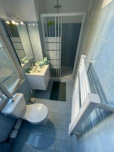 een badkamer met een toilet, een wastafel en een douche bij Patio de la pietonne in Menton
