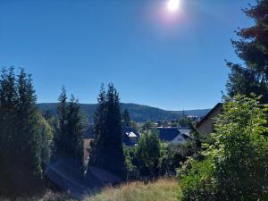 Blick auf ein Dorf von einem Hügel mit Bäumen in der Unterkunft Villa Helvetia in Bad Elster