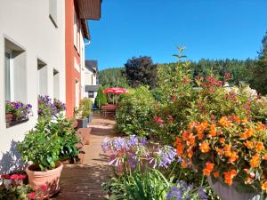 a bunch of flowers in pots on a patio at Villa Helvetia in Bad Elster