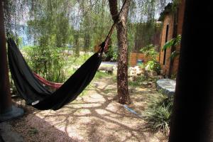 a hammock hanging from a tree in a yard at Shanti - Hospedaria na Vila de São Jorge in Sao Jorge