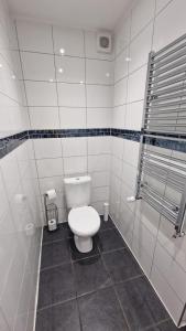 een witte badkamer met een toilet en een douche bij Charming Studio Rutland Point holiday or work in Oakham
