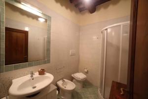 ein Bad mit einem Waschbecken, einem WC und einer Dusche in der Unterkunft Tenuta Montemassi Podere Montauzzo in Montemassi