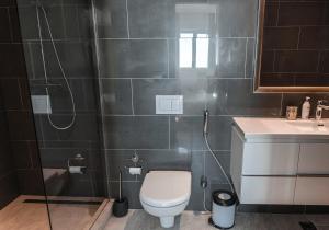 La salle de bains est pourvue de toilettes, d'une douche et d'un lavabo. dans l'établissement Lustica Bay Marina Village 3-bedroom corner apartment with a terrace and panoramic sea view, à Radovići