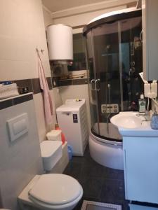 ein Bad mit einer Dusche, einem WC und einem Waschbecken in der Unterkunft Nada apartman in Vukovar