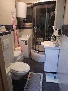 ein Bad mit einer Dusche, einem WC und einem Waschbecken in der Unterkunft Nada apartman in Vukovar