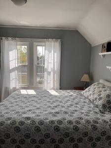 a bedroom with a bed and a window at Cozy Cape Cod in Grand Rapids