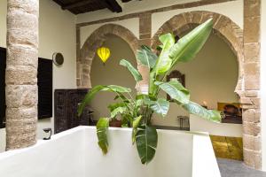 Fotografie z fotogalerie ubytování Riad Dar Sebta v destinaci Essaouira