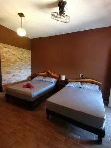 馬尊特的住宿－HOTEL AVE FENIX，一间卧室配有两张床和吊扇