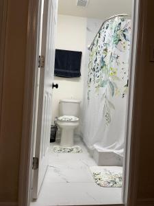 La salle de bains est pourvue de toilettes et d'un rideau de douche. dans l'établissement ZenHomes in Brandon near Tampa Valrico Seffner, à Brandon