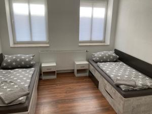 Zimmer mit 2 Betten und 2 Fenstern in der Unterkunft Ferienwohnung Funke D5 für Monteure in Apolda