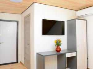 TV a/nebo společenská místnost v ubytování Артур