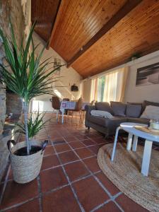 ein Wohnzimmer mit einem Sofa und einer Topfpflanze in der Unterkunft Bulle ivoire in Hastière-par-delà