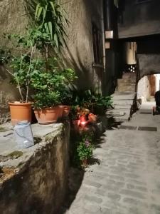um beco com vasos de plantas ao lado de um edifício em TRE METR SOPRA IL CIELO ''AcquAria'' em Felitto
