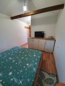 Kuchyň nebo kuchyňský kout v ubytování Bungalov Lenka