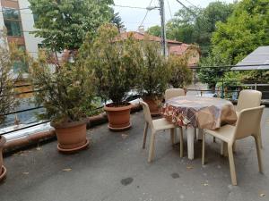 a table and chairs and potted trees on a balcony at 10 Coins Hostel & tours in Sofia